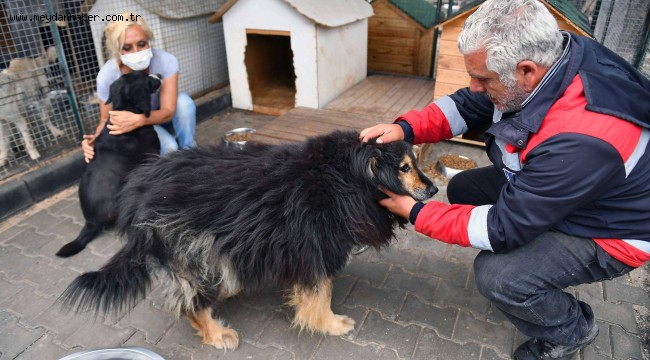 CAN DOSTLAR İÇİN BÜYÜKŞEHİR VE GÖNÜLLÜLER EL ELE