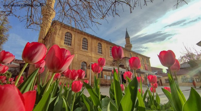 "Çorum'da Bahar" fotoğraf yarışması sonuçlandı