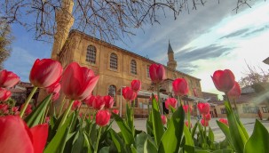 "Çorum'da Bahar" fotoğraf yarışması sonuçlandı