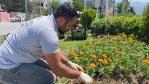DAHA YEŞİL HATAY İÇİN