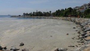 Darıca'da sahil müsilajla kaplandı, denize girmek yasaklandı