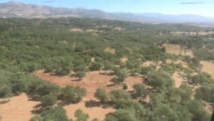 Diyarbakır'da dev uyuşturucu operasyonu