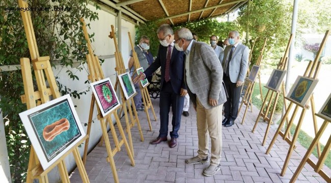 Ege'den "Polenlerin Büyüleyici Görüntüleri" Sergisi