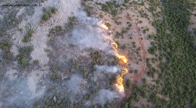 Elazığ'daki orman yangını 4 gündür sürüyor