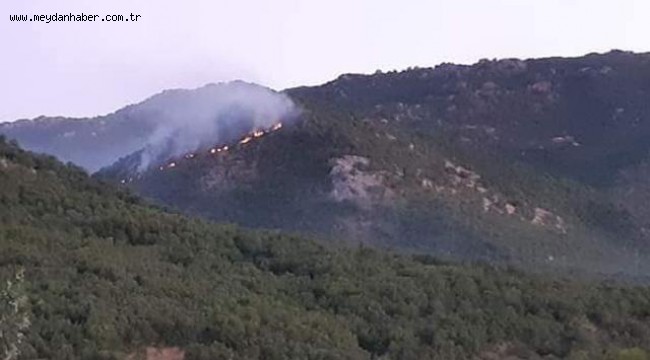 Elazığ'daki yangın 3 gündür sürüyor