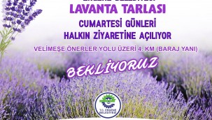 Ergene Belediyesi Bir Projesini Daha Hayata Geçirdi