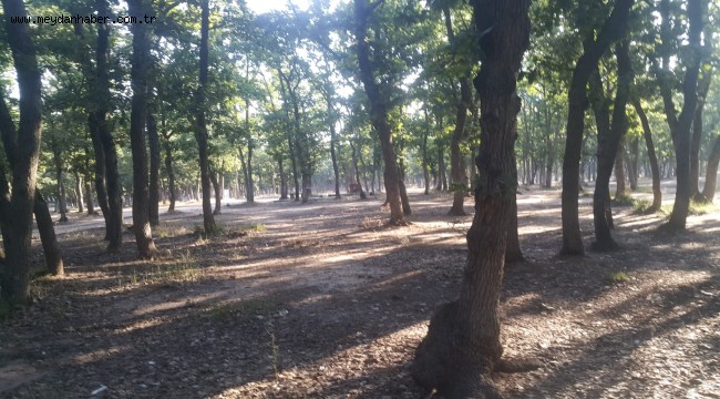 Ergene Belediyesi Mesire Alanını Temizledi