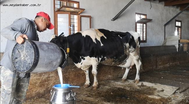"Gökçel: Çiğ Süt Prim Desteğini Düşürmek Çiftçiye Üretme Demektir"