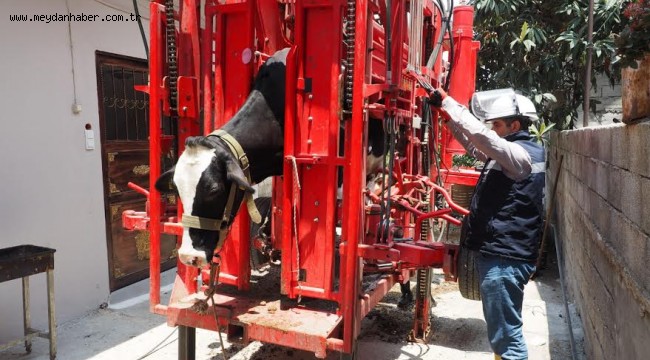  HBB HATAYLI ÜRETİCİNİN YANINDA