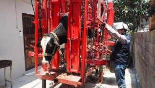  HBB HATAYLI ÜRETİCİNİN YANINDA