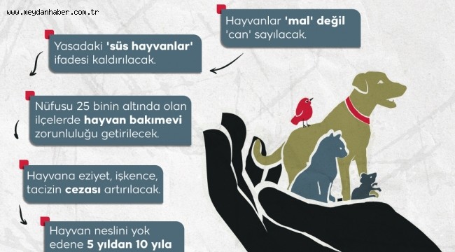 Hayvanları koruma kanununda sona gelindi