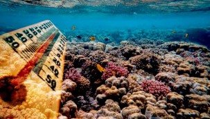 İklim krizi kapıda: Hava olayları daha da şiddetli yaşanacak