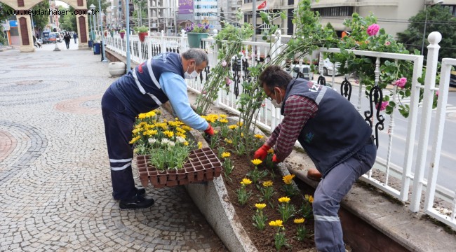 İzmit Saat Kulesi çevresi çiçeklerle rengarenk oldu