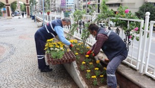 İzmit Saat Kulesi çevresi çiçeklerle rengarenk oldu