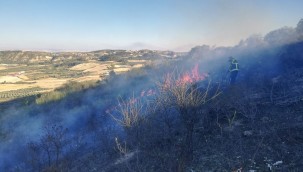KARBEYAZ MAHALLESİ'NDE ÇIKAN YANGIN HBB İTFAİYE EKİPLERİ TARAFINDAN SÖNDÜRÜLDÜ