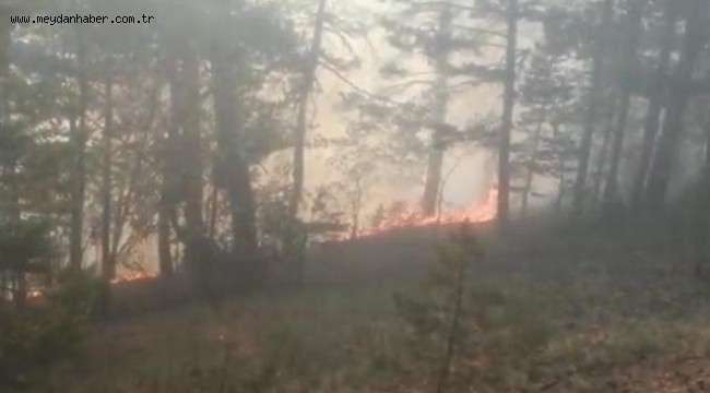 Kars'ta örtü yangını: Ekiplerin müdahalesi sürüyor