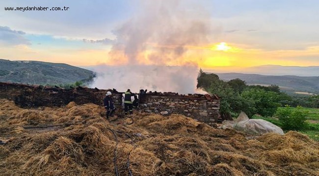 Manisa'da ağıla yıldırım düştü: 2 yaralı