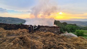 Manisa'da ağıla yıldırım düştü: 2 yaralı