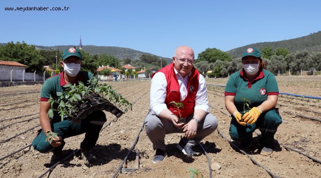 Menteşe Belediyesi 55 Bin Ata Tohumunu Toprakla Buluşturdu