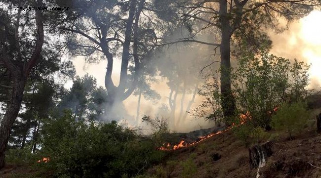 Muğla'da yıldırım 13 günde 48 orman yangını çıkardı