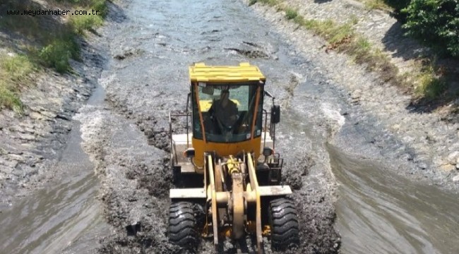 Sakarya'daki balık ölümleri araştırılıyor 