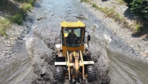 Sakarya'daki balık ölümleri araştırılıyor 