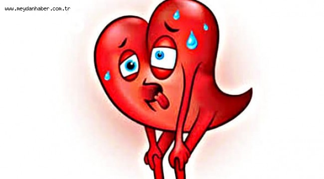 Türk Kardiyoloji Derneği "Kalp Yetersizliğinde Yaşam Işığı" kampanyasıyla kalp yetersizliğinde farkındalığı artırmak için yola çıktı!