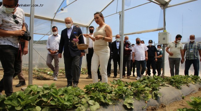 VALİ KÖŞGER EFES TARLASI YAŞAM KÖYÜ'NDE