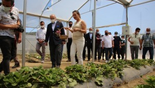 VALİ KÖŞGER EFES TARLASI YAŞAM KÖYÜ'NDE