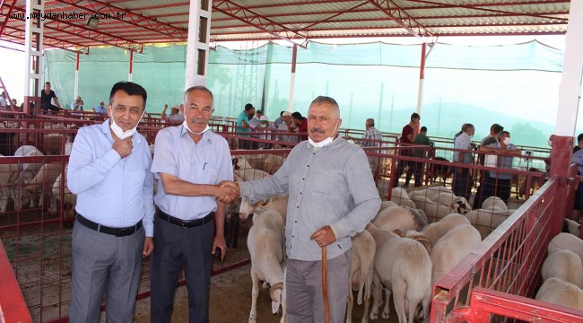 5 YILDIZ 10 NUMARA KURBAN HİZMETİ