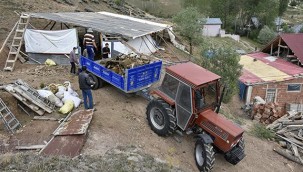 Aç kalan kurtlar ağıldaki koyunlara saldırdı: 103 hayvan telef oldu