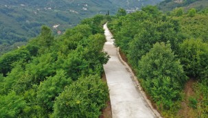 ALTINORDU BELEDİYESİ 7/24 KONTAK KAPATMIYOR