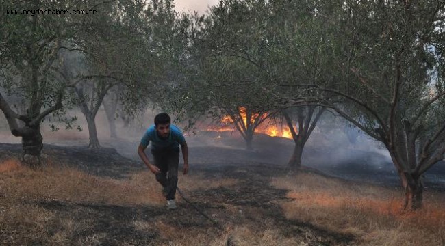 Antalya orman yangını nedeniyle Oymapınar Göleti'nde mahsur kalan 10 kişiyi AFAD ekipleri kurtardı.