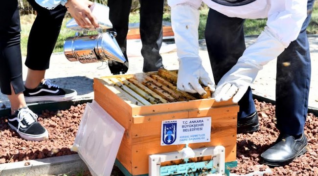 ARICILIK AKADEMİSİ'NDE EĞİTİMLER DEVAM EDİYOR