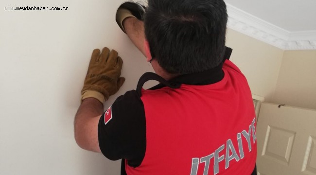 Bacaya sıkışan yavru kedi yara almadan kurtarıldı 