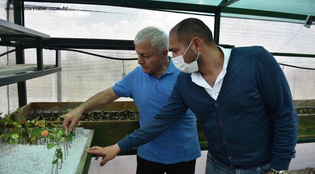 BÜYÜKŞEHİR'DEN ARONİA MEYVESİ İÇİN TEKNİK DESTEK