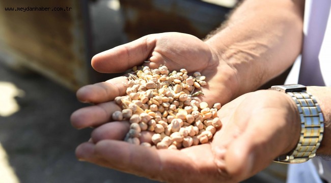 BÜYÜKŞEHİR POLATLILI SEL MAĞDURU ÇİFTÇİLERİN YANINDA