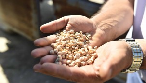 BÜYÜKŞEHİR POLATLILI SEL MAĞDURU ÇİFTÇİLERİN YANINDA