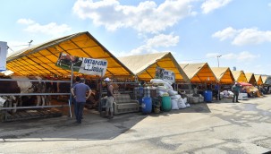 ÇALIK: KURBAN BAĞIŞLARINIZI İHTİYAÇ SAHİPLERİNE ULAŞTIRIYORUZ