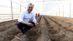 Deneme üretimi sonuç verdi