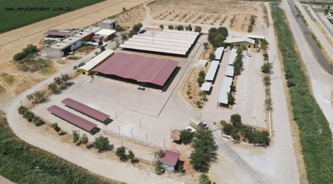 EFELER BELEDİYESİ KURBAN KESİM YERLERİNİ AÇIKLADI