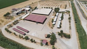 EFELER BELEDİYESİ KURBAN KESİM YERLERİNİ AÇIKLADI