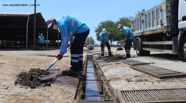 EFELER BELEDİYESİ'NDEN KURBAN BAYRAMI ÖNCESİ HAYVAN PAZARINA ÇIKARTMA