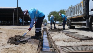 EFELER BELEDİYESİ'NDEN KURBAN BAYRAMI ÖNCESİ HAYVAN PAZARINA ÇIKARTMA