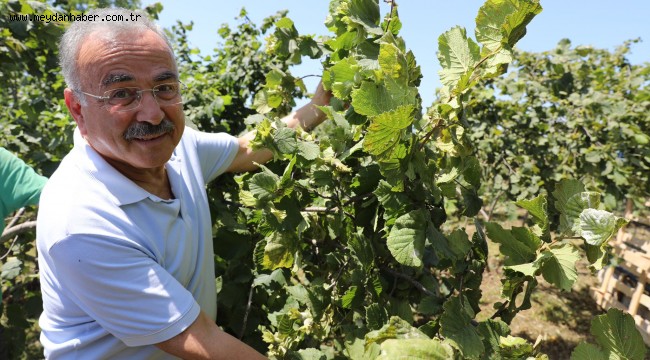 FINVER FINDIĞA İYİ GELDİ