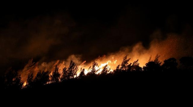 Foça'daki yangına çocukların neden olduğu açıklandı
