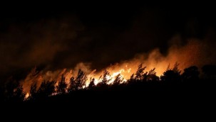 Foça'daki yangına çocukların neden olduğu açıklandı