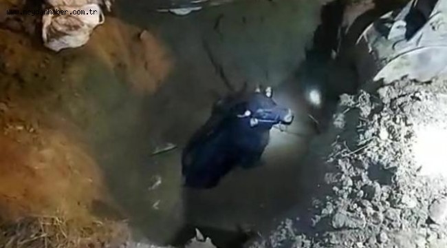 Foseptik çukuruna düşen kurbanlık kurtarıldı