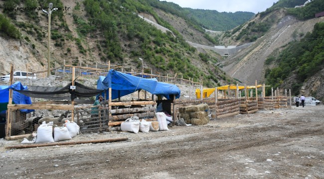 HAYVAN PAZARINA KURBANLIKLAR GELMEYE BAŞLADI