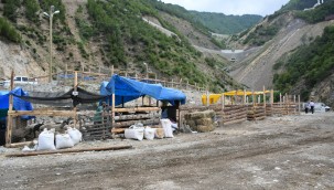 HAYVAN PAZARINA KURBANLIKLAR GELMEYE BAŞLADI